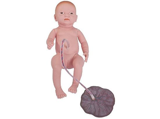 KM/132 Neonatal Umbilical Cord Nursing Model
