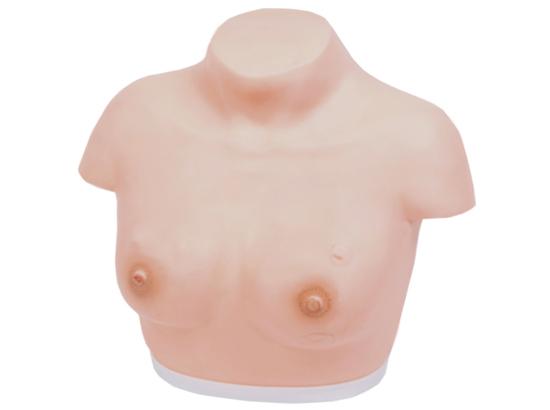 KM/14A Inspection and Palpation of Breast Model