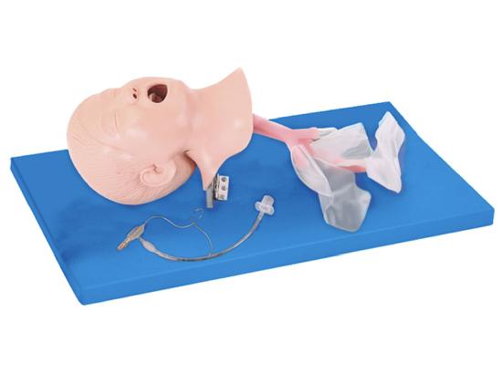 KM/1A Child Trachea Intubation Model