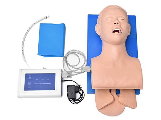 KM/3 Electronic Trachea Intubation Training Model(with tooth pressure alarm)