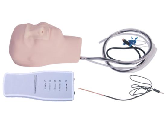 KM/LV17 Advanced nasal hemorrhage simulator