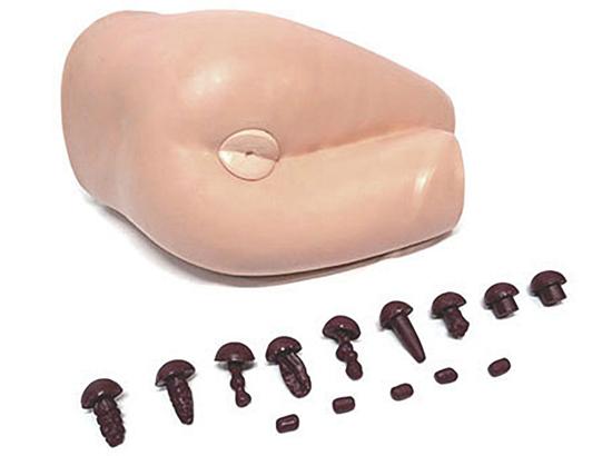 KM/LV39A Rectal examination simulator