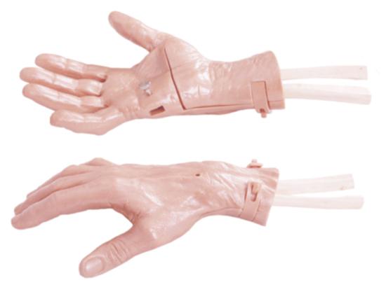 KM/LV66 Wrist arthroscopy model