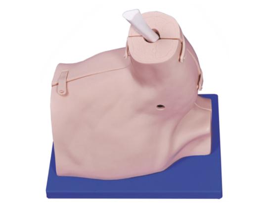 KM/LV67 Shoulder arthroscopy model