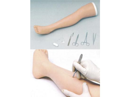 KM/M Surgical Suture Leg Model