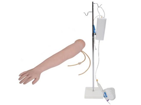 KM/S1 Arm Venipuncture and Intramuscular Injection Training Model